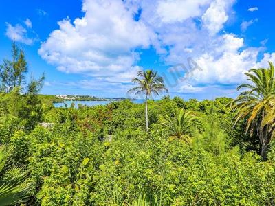 Commercial · For sale